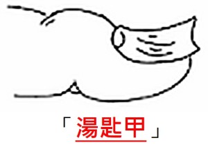 湯匙甲